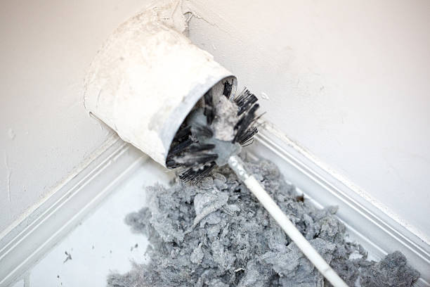 Best Professional Duct Cleaning Services  in Dahlgren, VA
